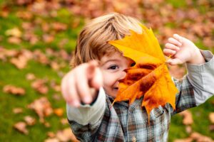 Autumn Activities
